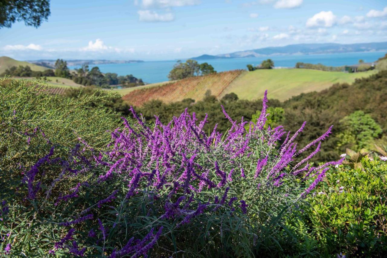 Waiheke Luxury Blue And Green Rooms Ostend Eksteriør billede